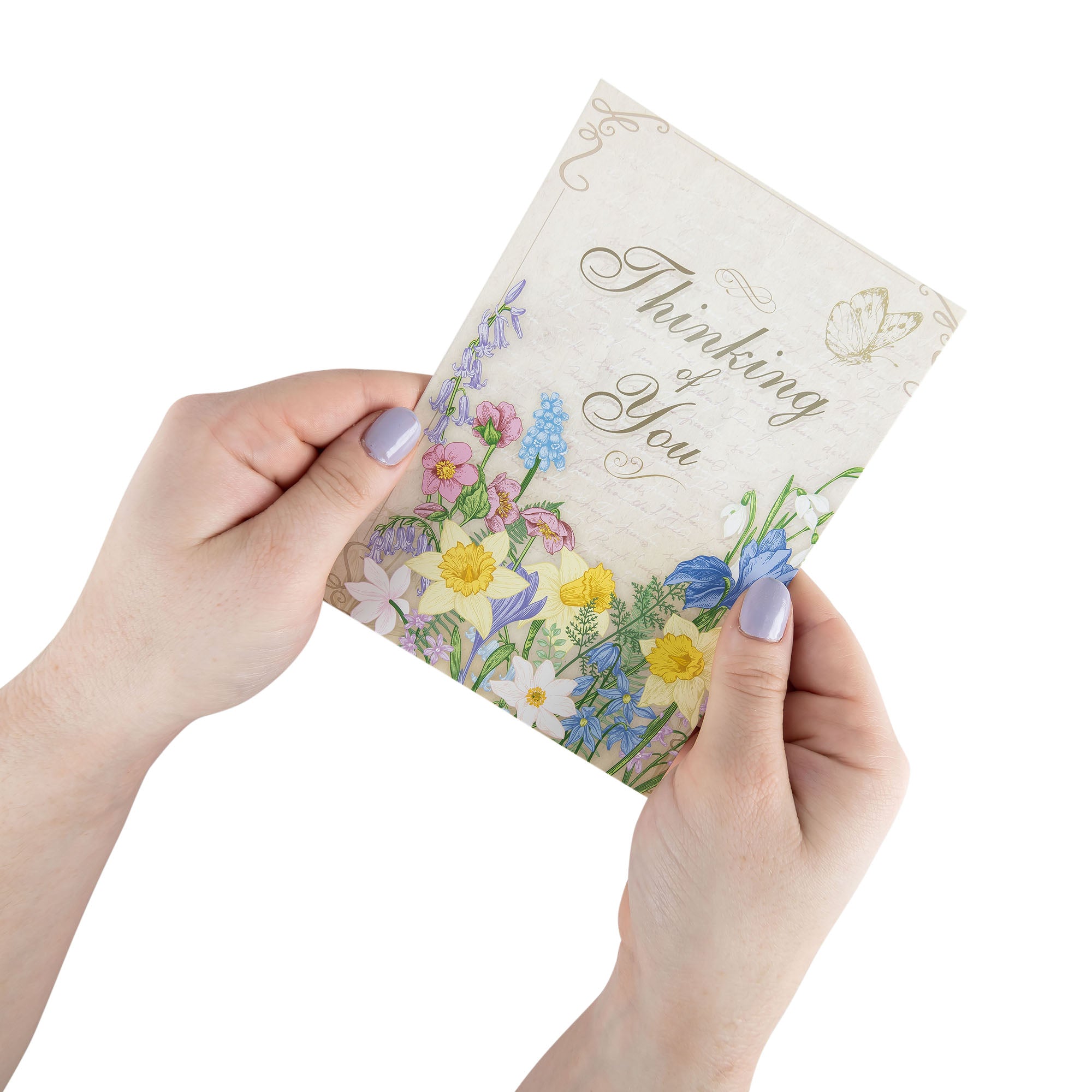 Single Cards - Thinking of You - In Touch Philippians 4:6 (6 pk)