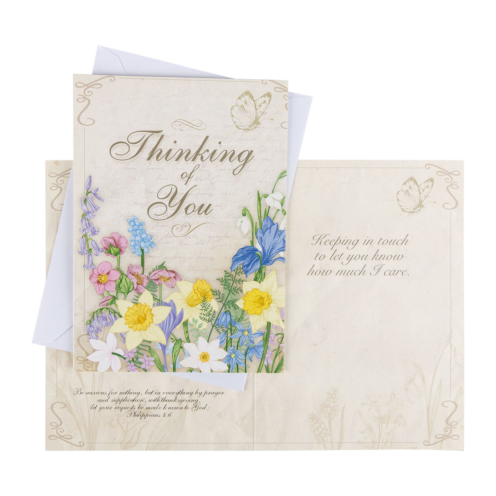 Single Cards - Thinking of You - In Touch Philippians 4:6 (6 pk)