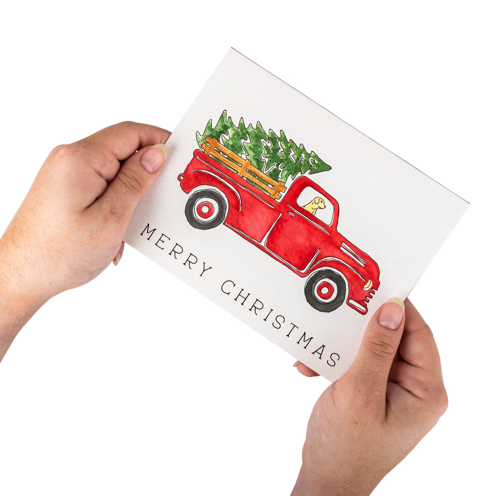 Boxed Christmas Cards: Red Plaid Truck