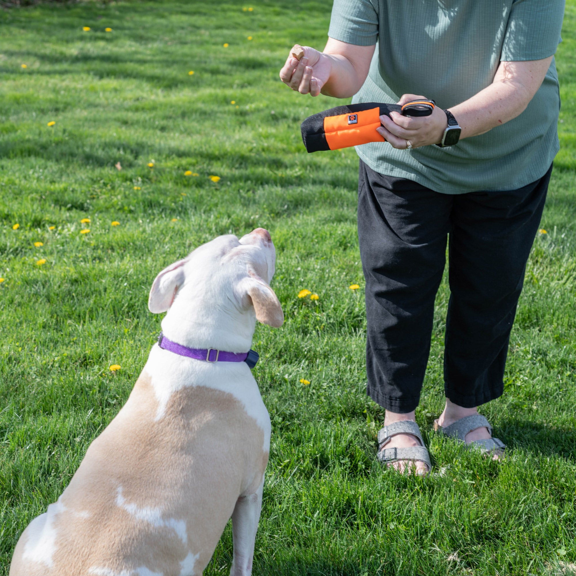 Mad Dog Treat Trainer