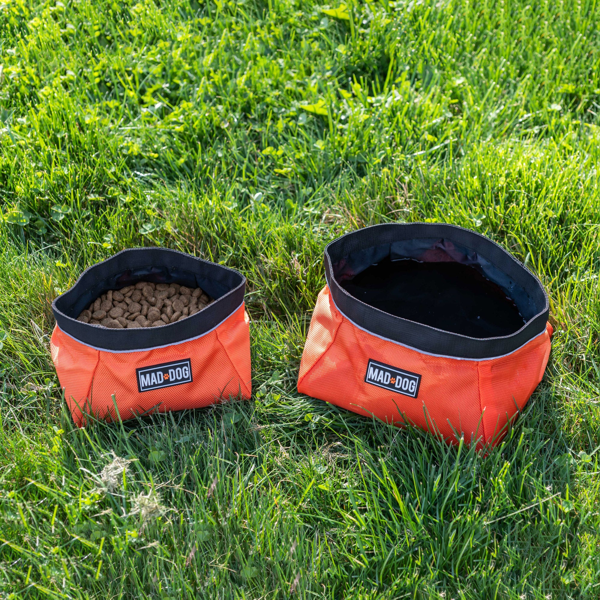 Collapsible Dog Bowl