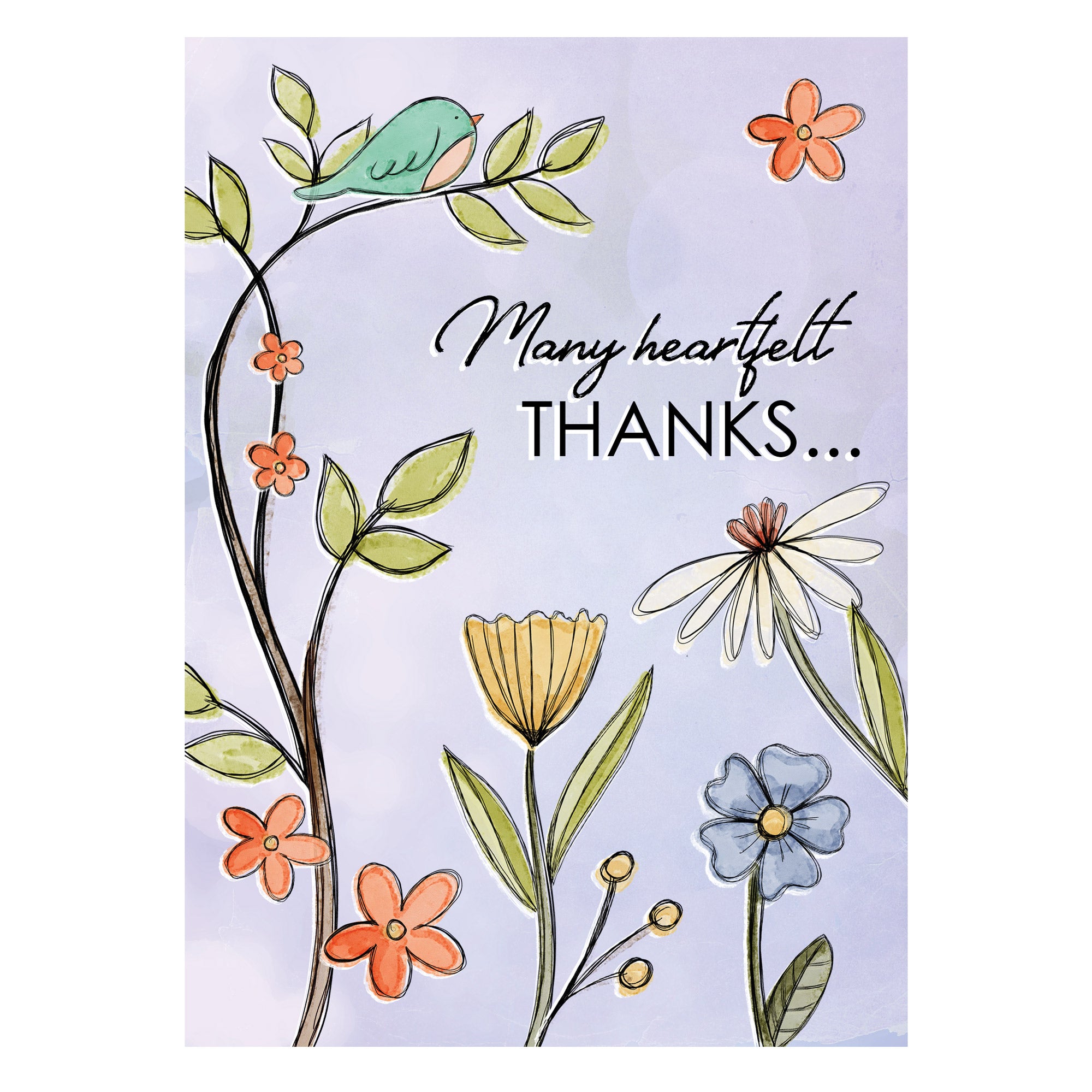 Boxed Cards: Thank you, Bird on Branch