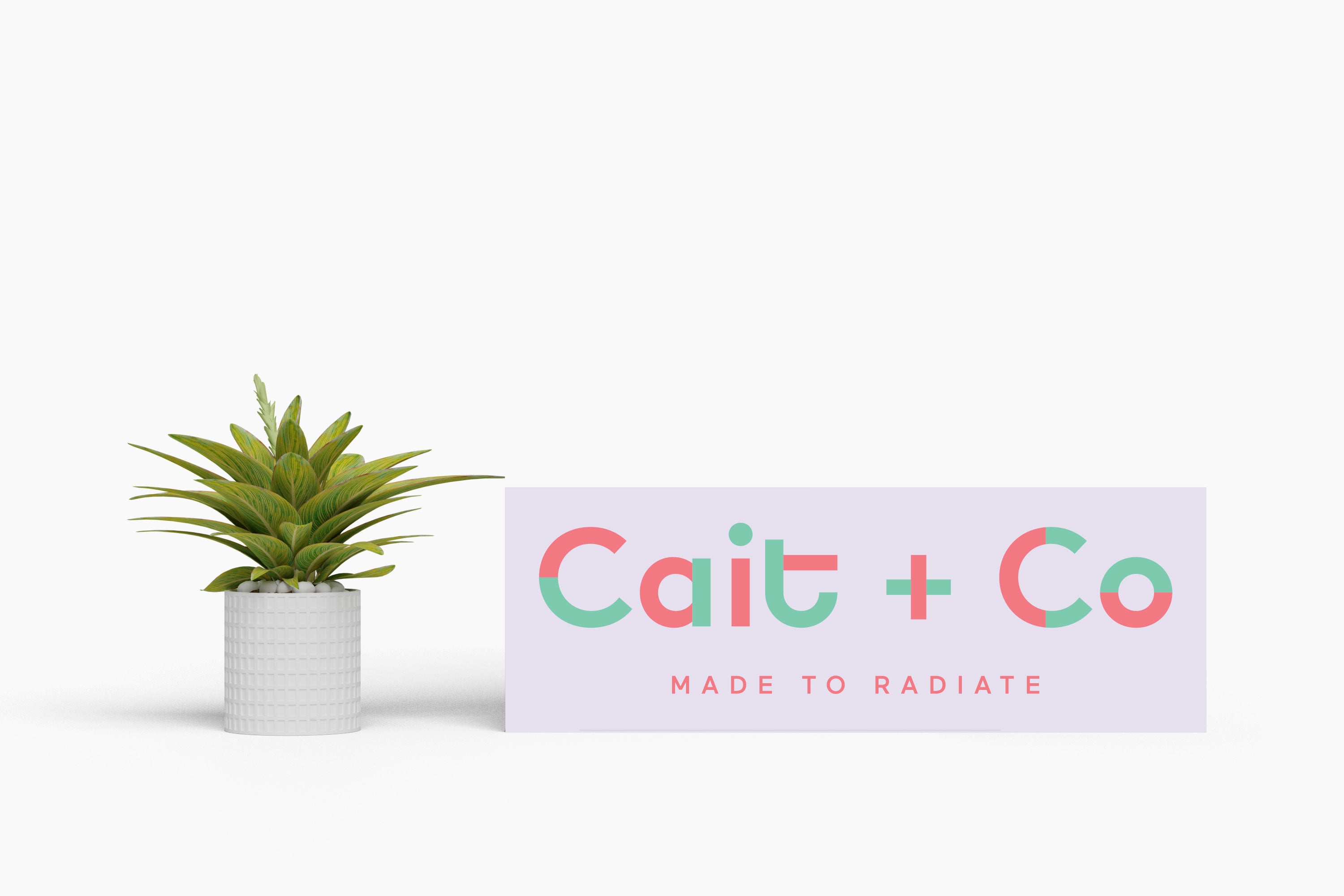 Cait + Co Marketing Pack (3 pcs)