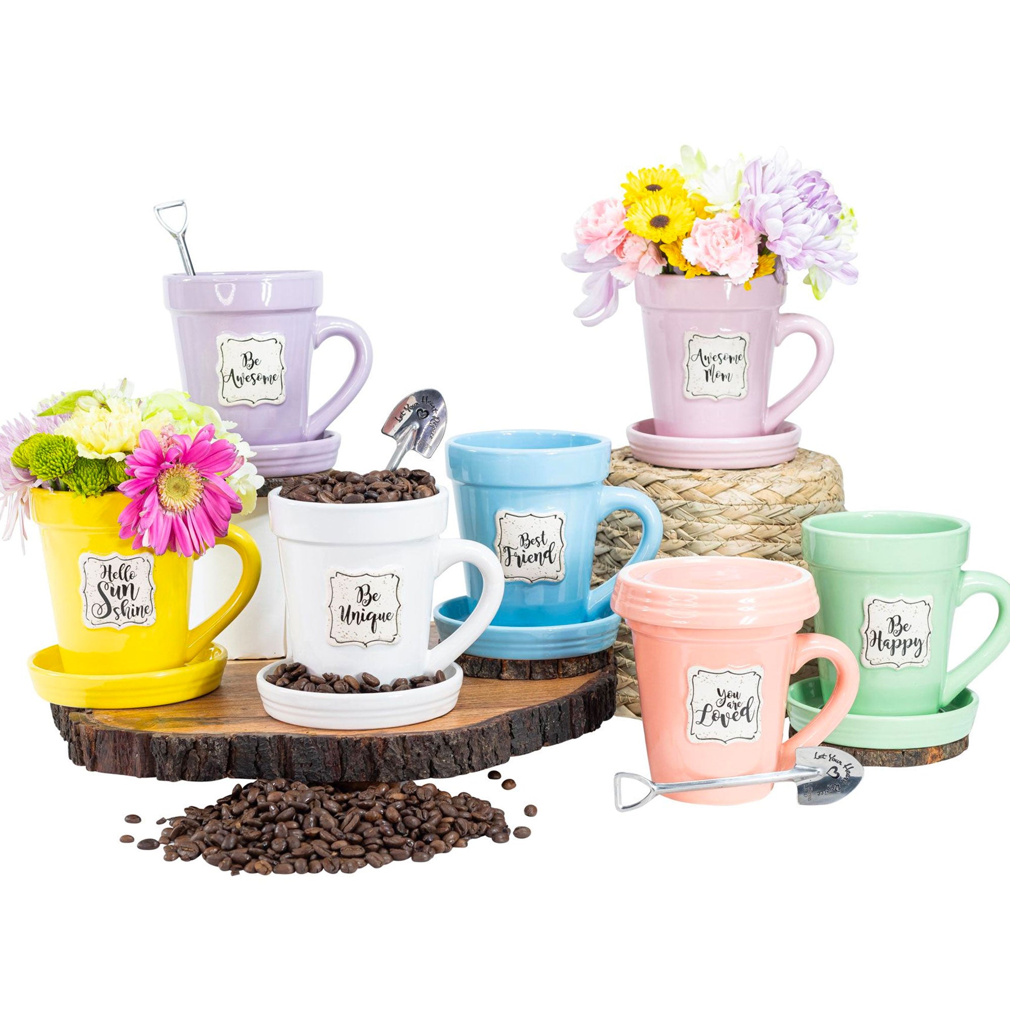 Flower Pot Mug: 18 Piece Assortment