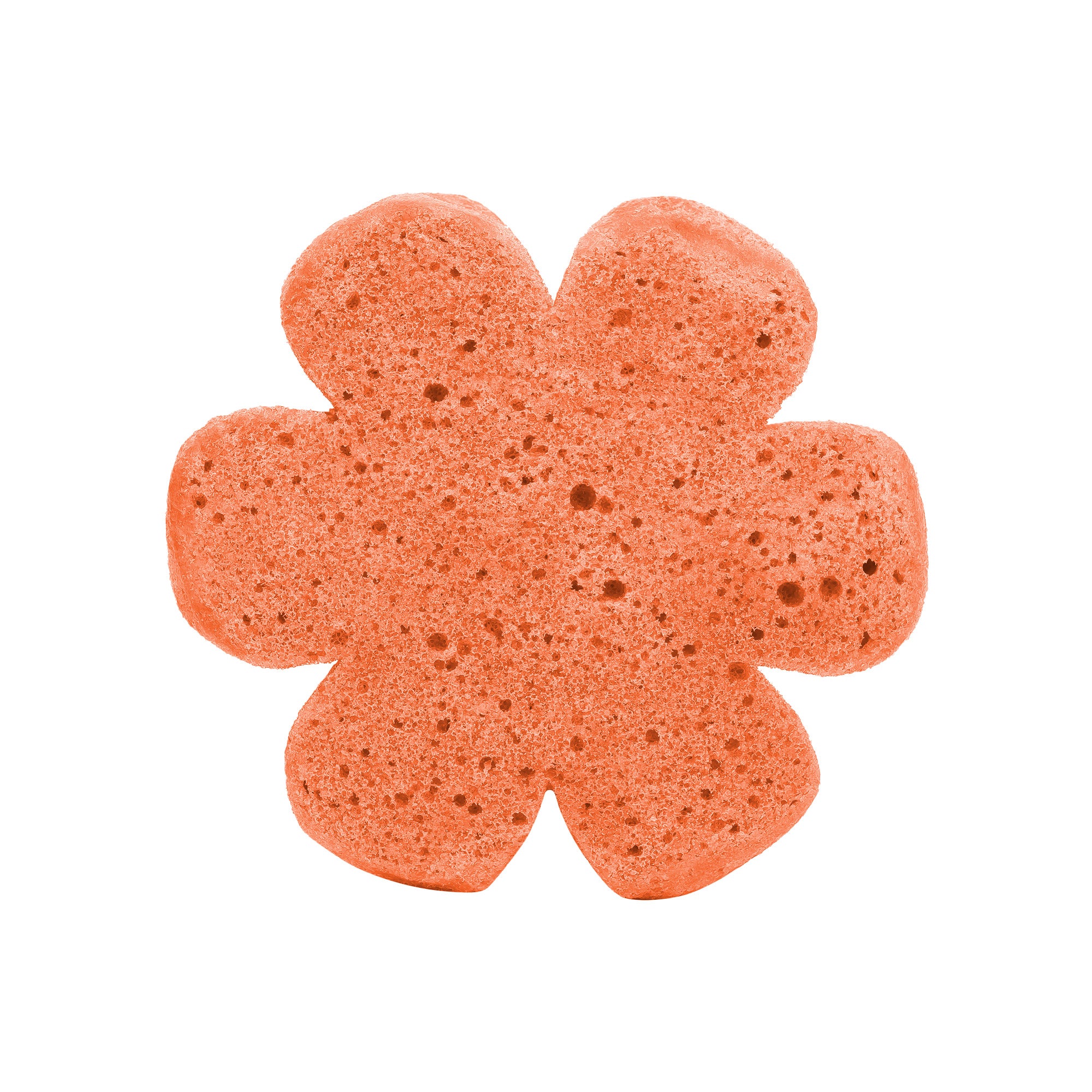 Soap Spongie-Sweet Splash