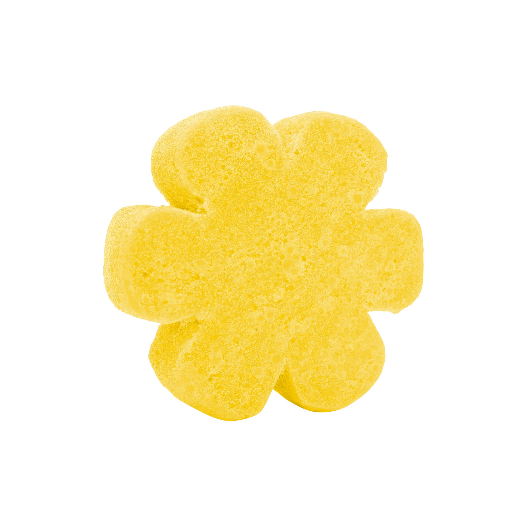Soap Spongie-Fun and Fruity