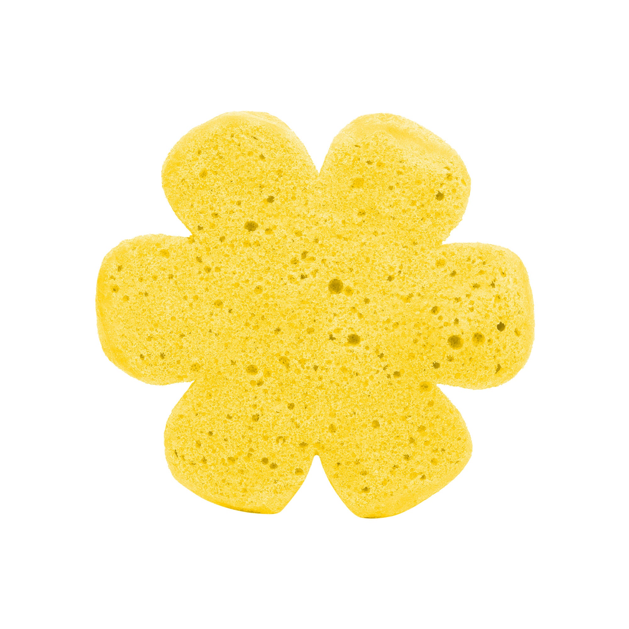 Soap Spongie-Fun and Fruity