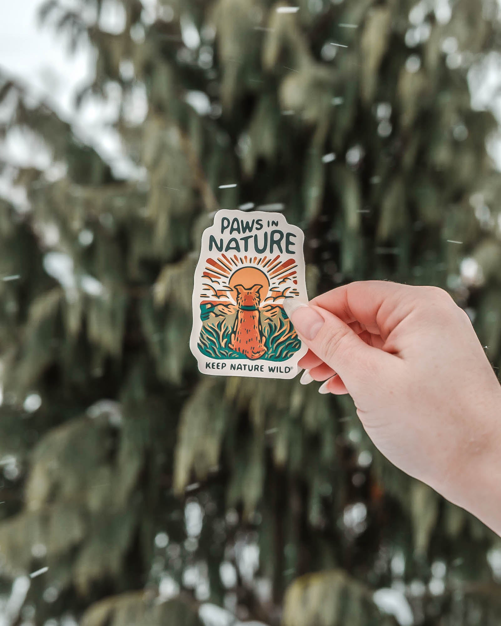 Dog Paws in Nature | Sticker