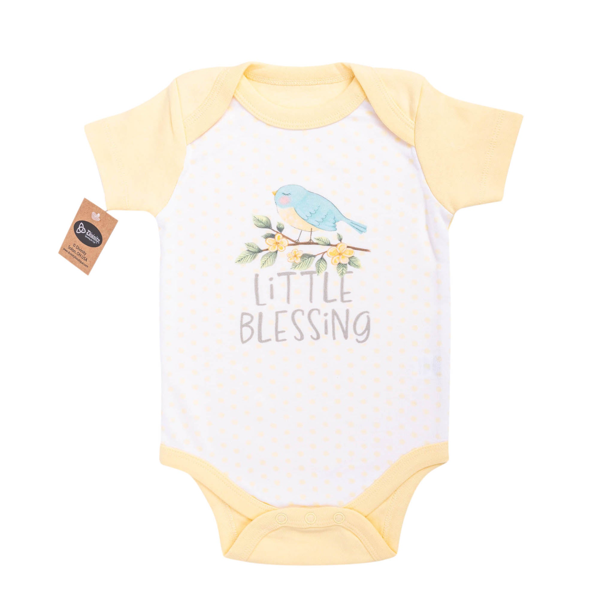 Bodysuit: Little Blessing,3-6 mo.