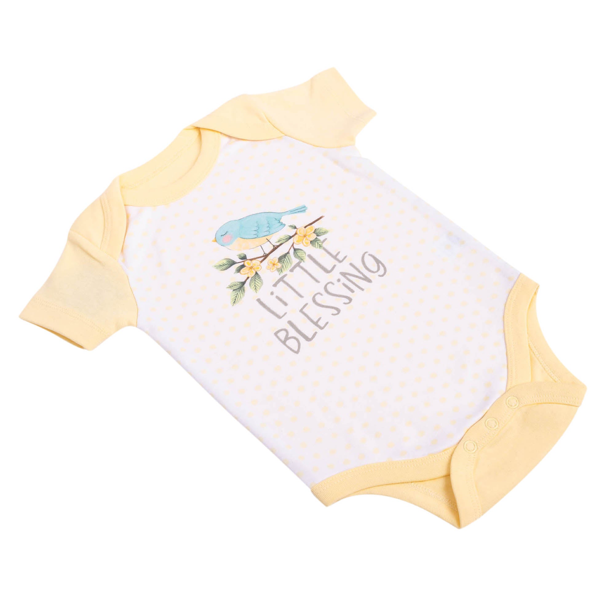 Bodysuit: Little Blessing,3-6 mo.