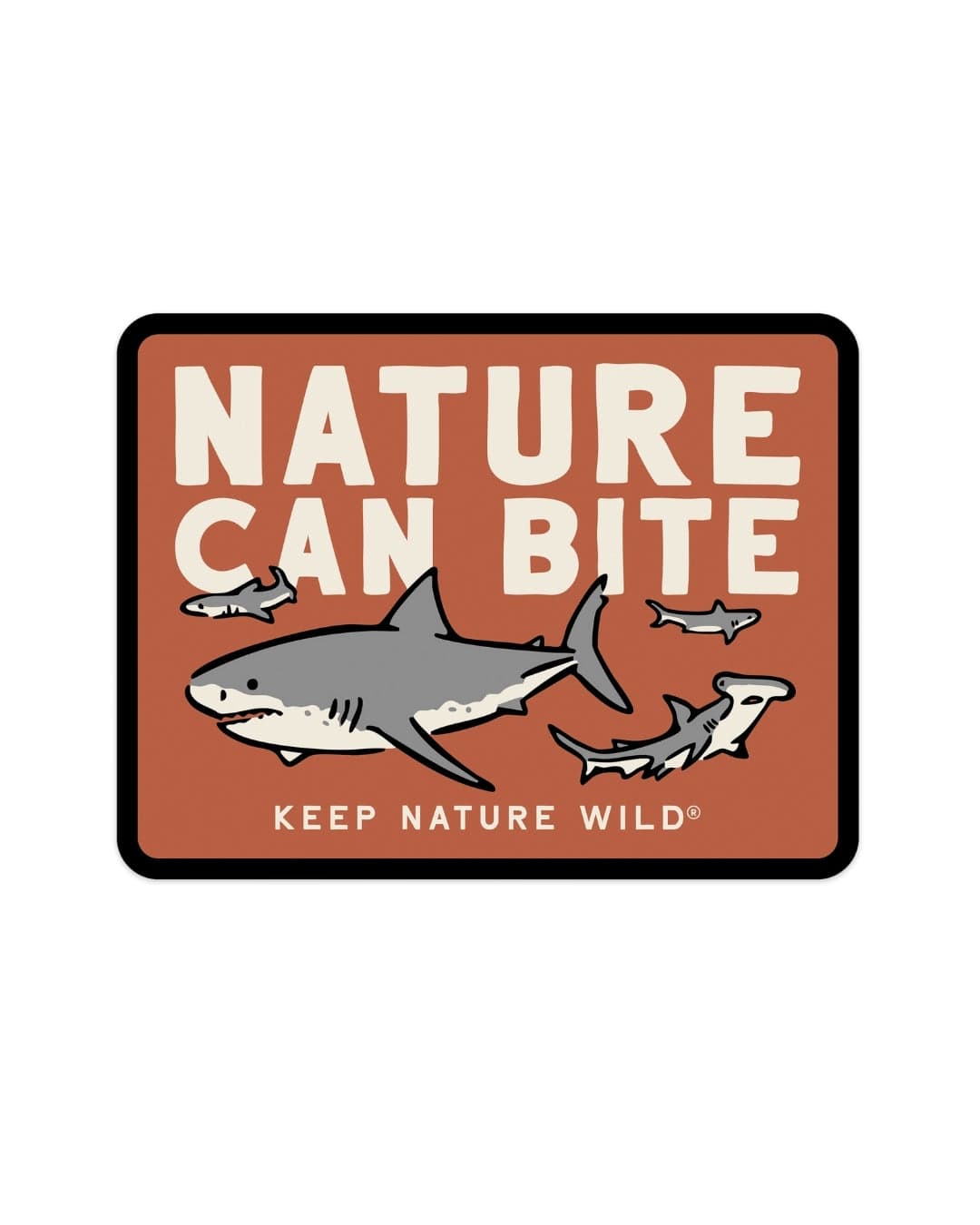 Nature Study Sharks | Sticker