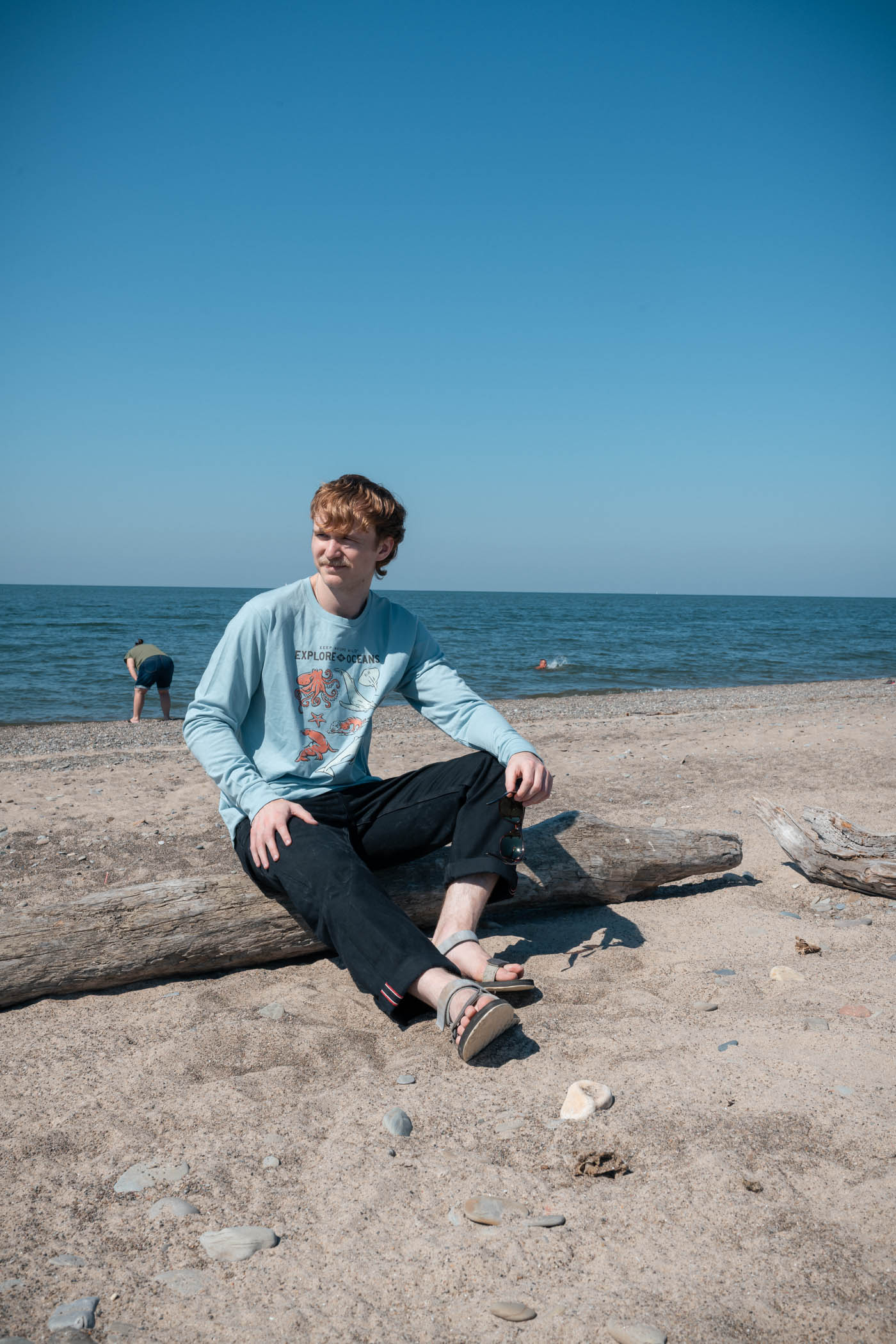 Nature Study Florida Unisex Tee | Morning Mist