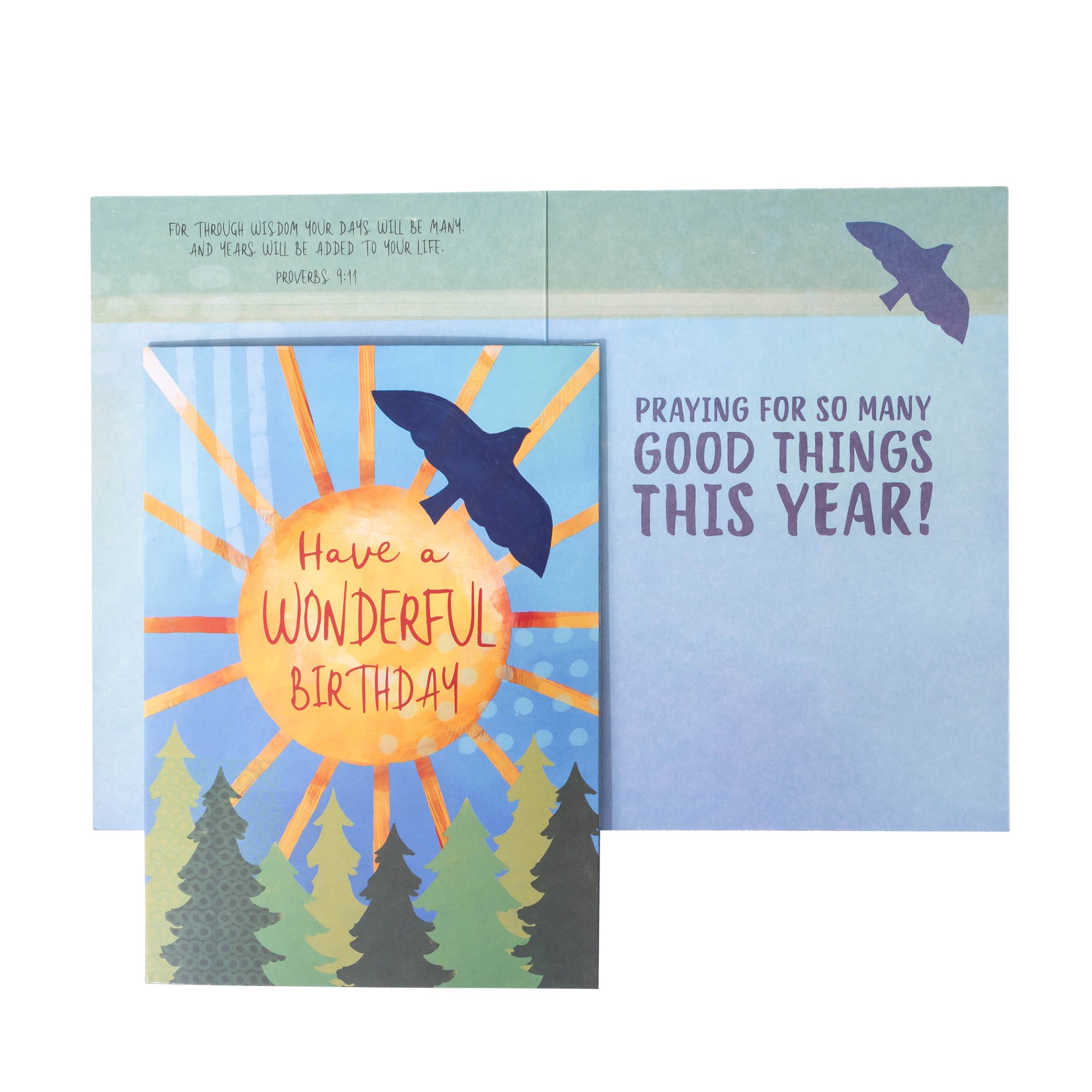 Boxed Greeting Cards: 12CT Birthday for Him - The Outdoors