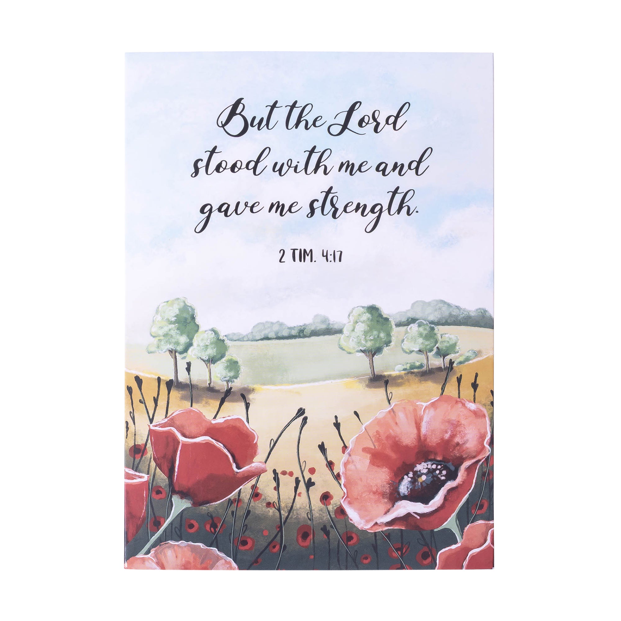 Boxed Greeting Cards: 12CT Encouragement - Painterly Scenery