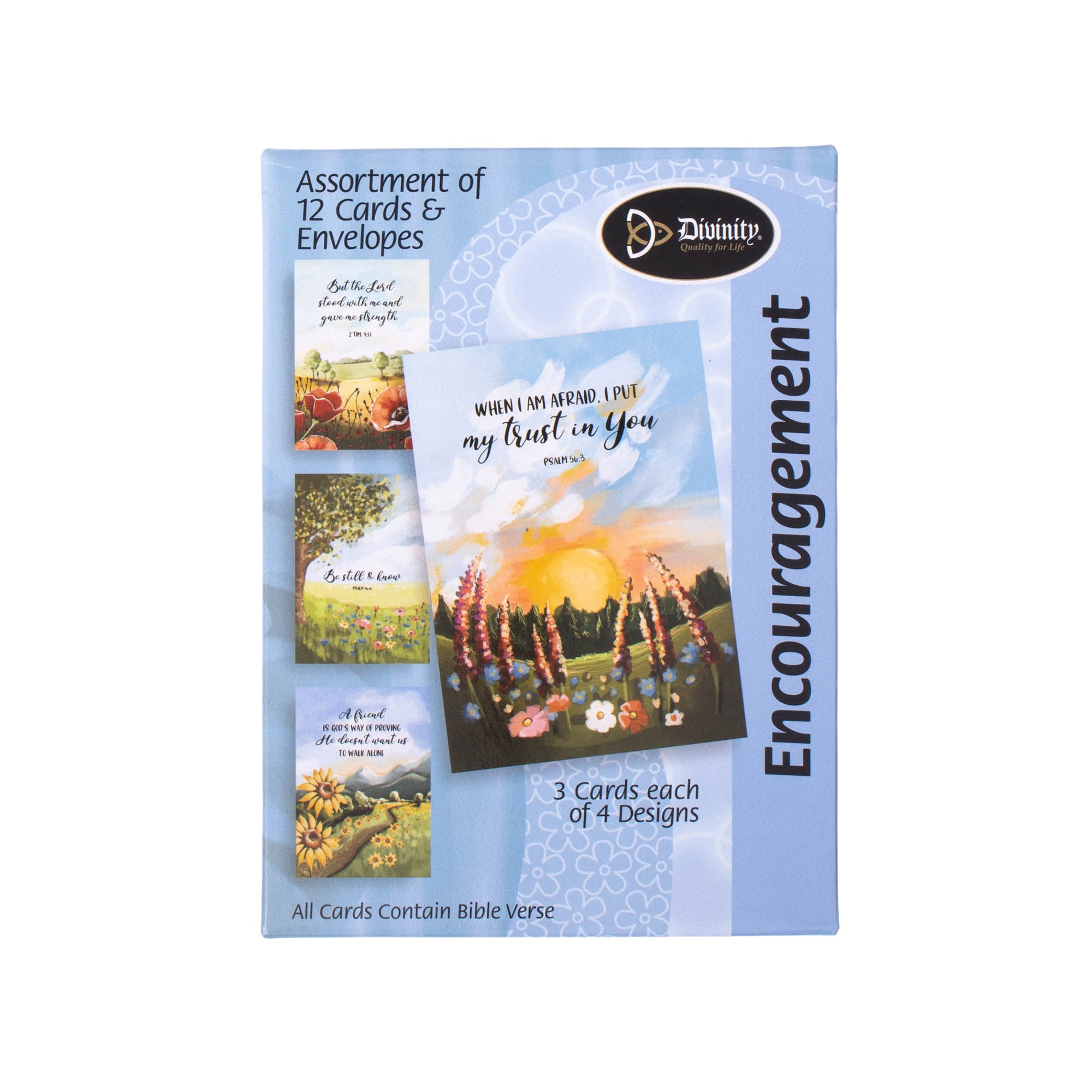 Boxed Greeting Cards: 12CT Encouragement - Painterly Scenery