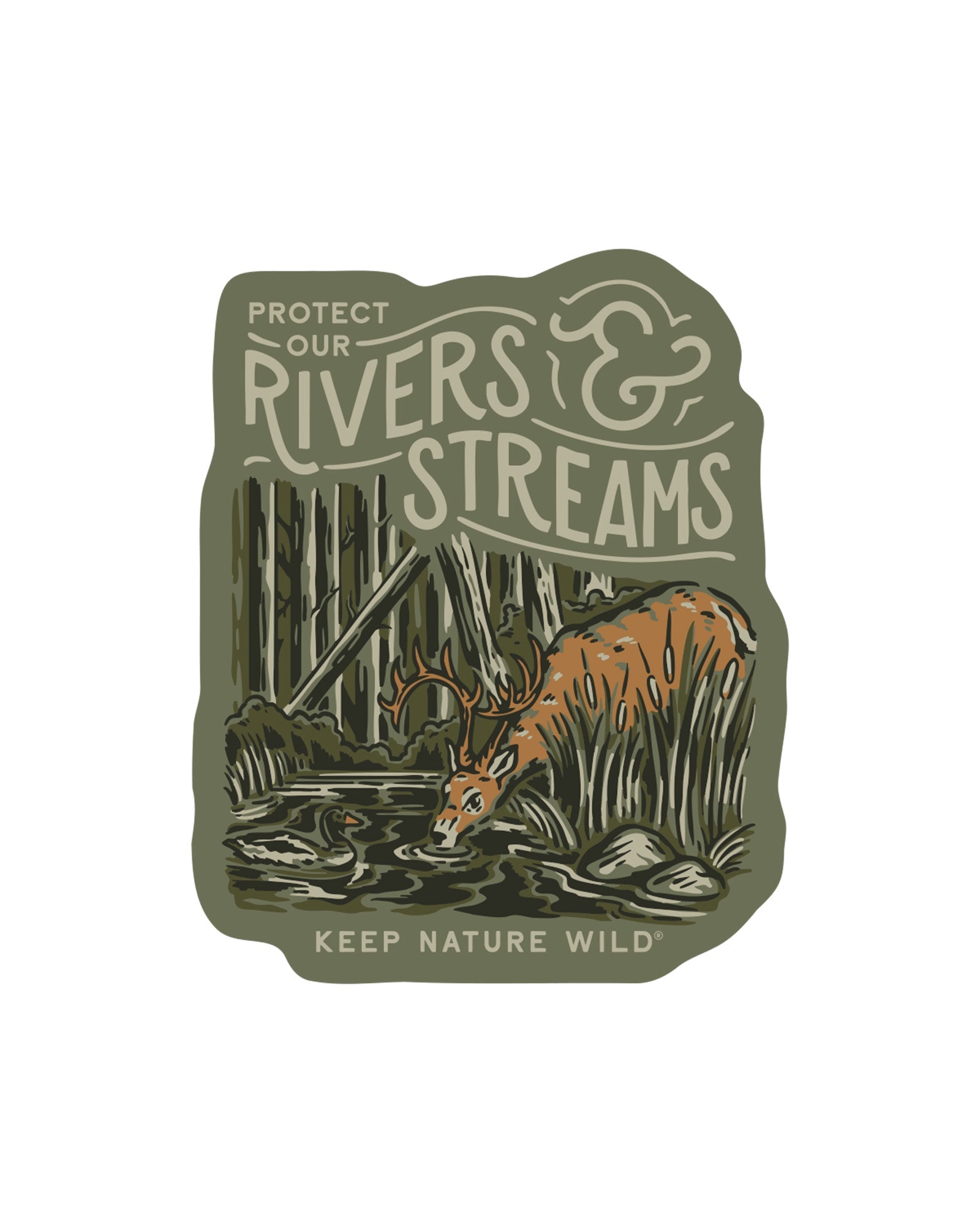 Protect Our Rivers & Streams | Sticker