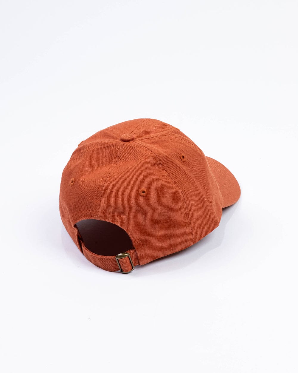 Keep Nature Wild Hat Better in the Desert Dad Hat | Burnt Orange