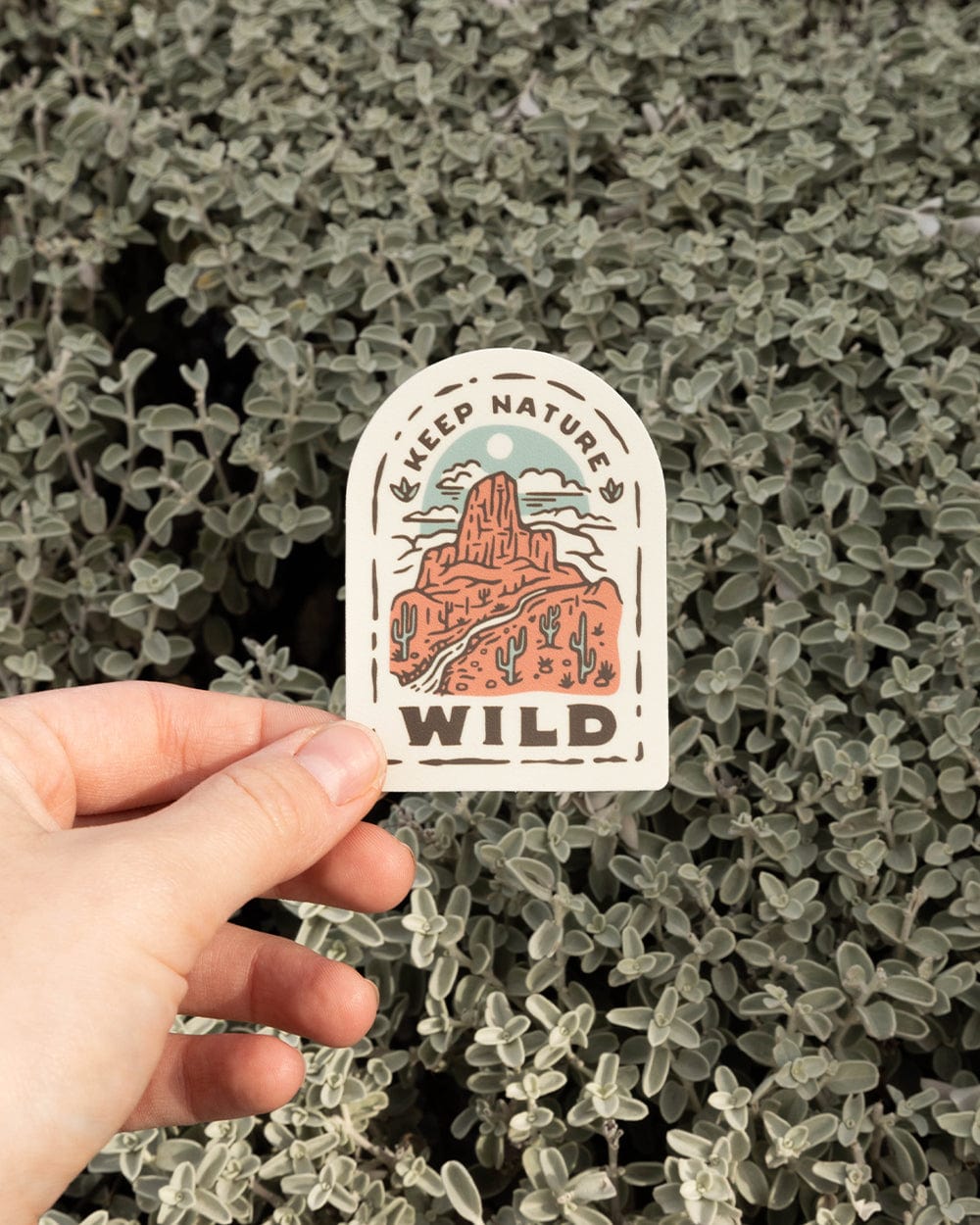 Keep Nature Wild Sticker Keep Nature Wild Southwest | Sticker