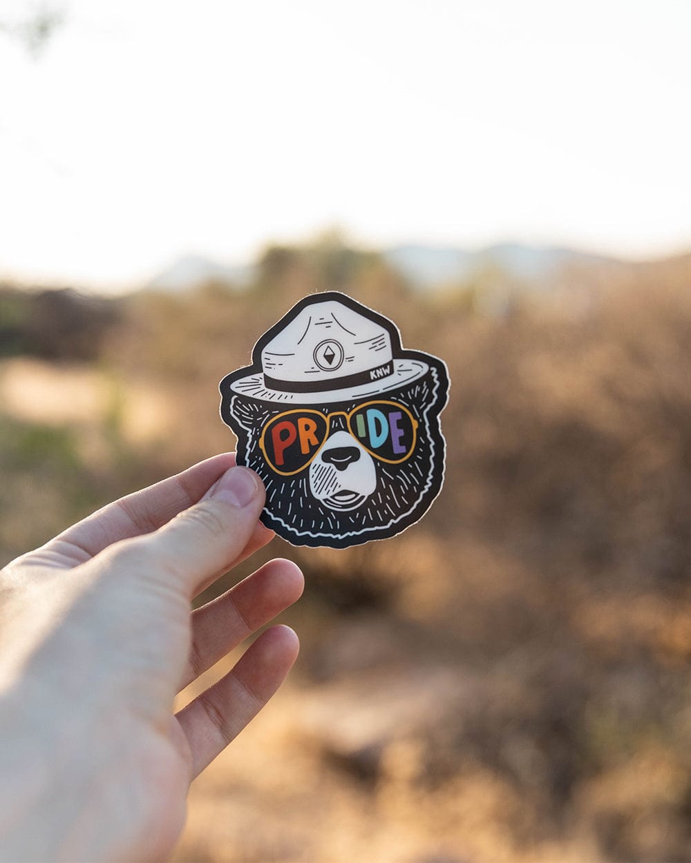 Keep Nature Wild Sticker Pride Bear | Sticker