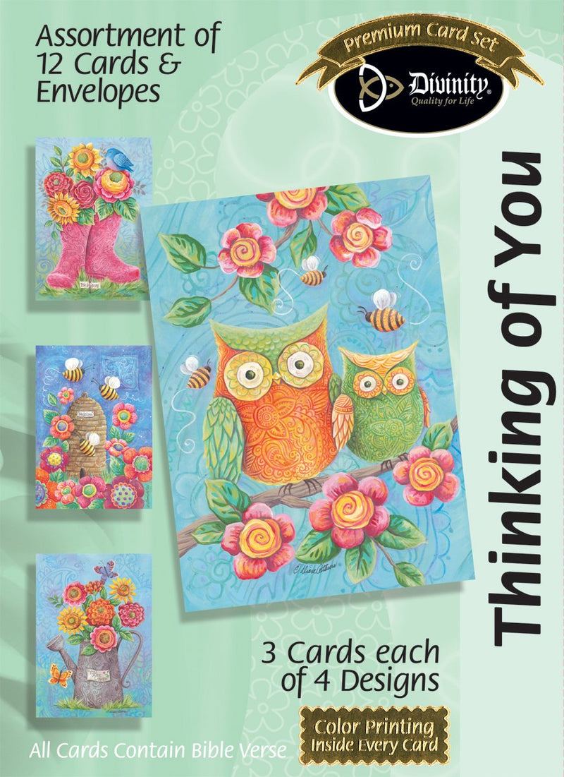 Divinity Boutique Boxed Cards: Thinking Of You, Owls & Boots