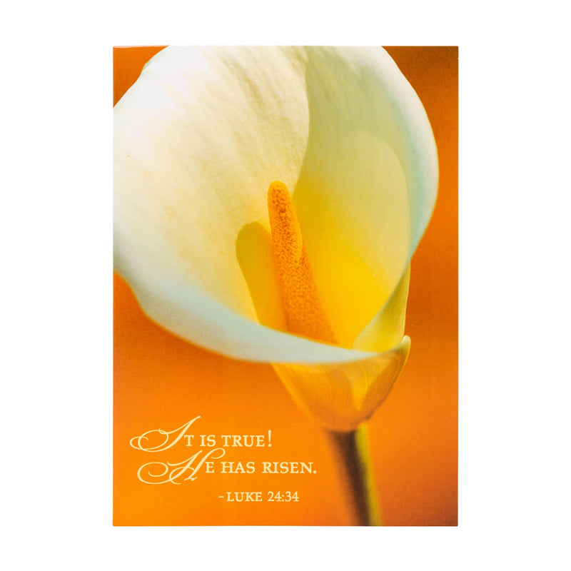 Boxed Cards: Easter, Spring Flowers