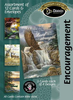Divinity Boutique Boxed Cards: Encouragement, Nature Retreat