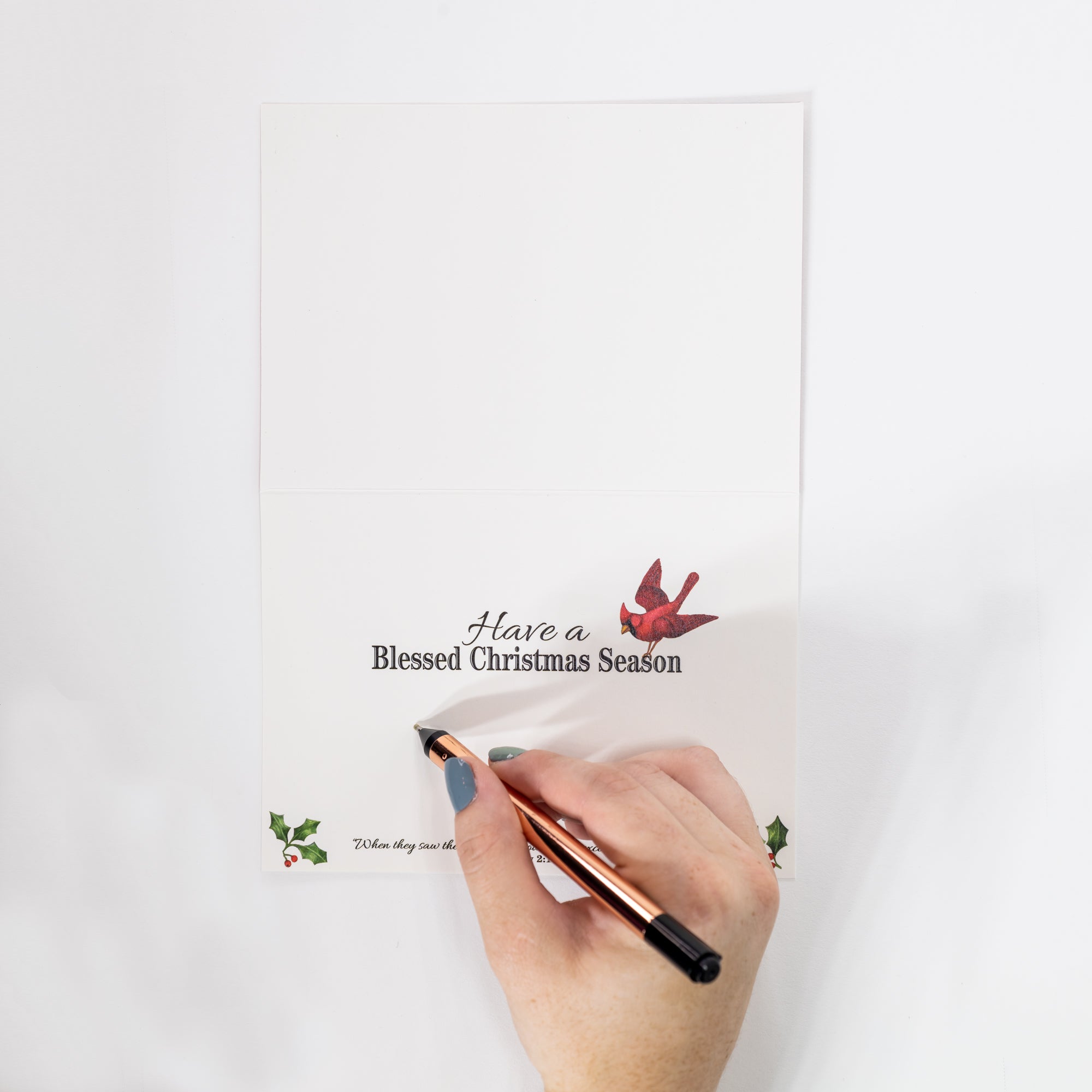 Single Christmas Card Set of 6: Noel Cardinals
