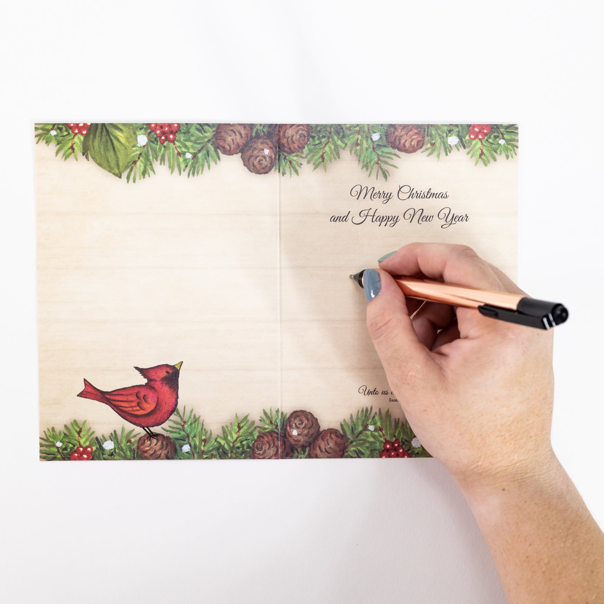Single Christmas Card Set of 6: Season's Greetings