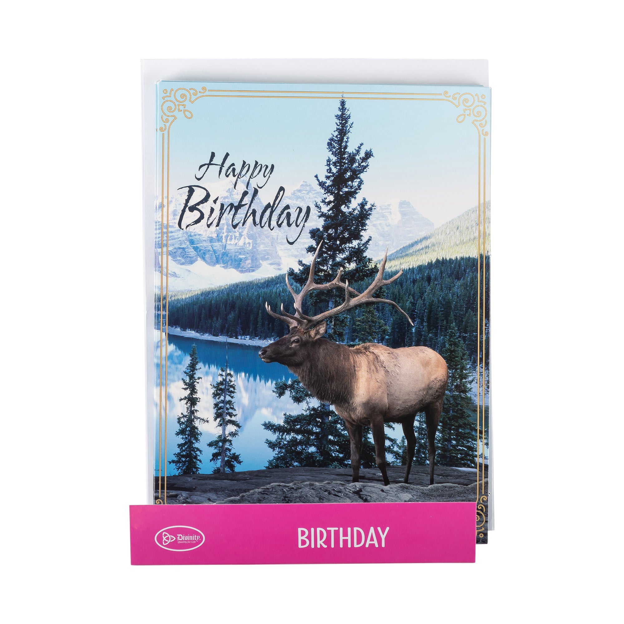 Single Cards: Birthday, Elk, Have a Blessed Birthday (Set of 6)