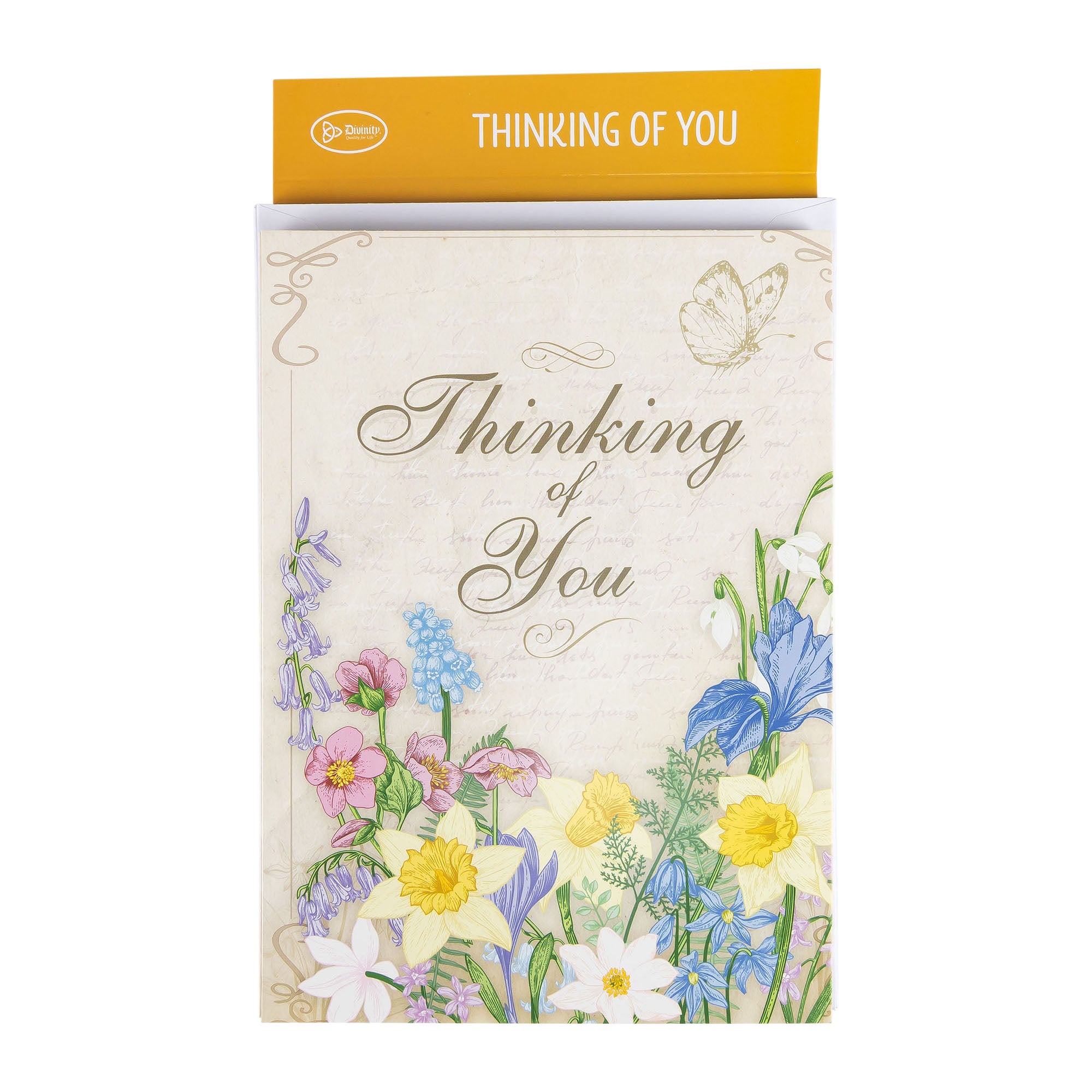 Single Cards - Thinking of You - In Touch Philippians 4:6 (6 pk)