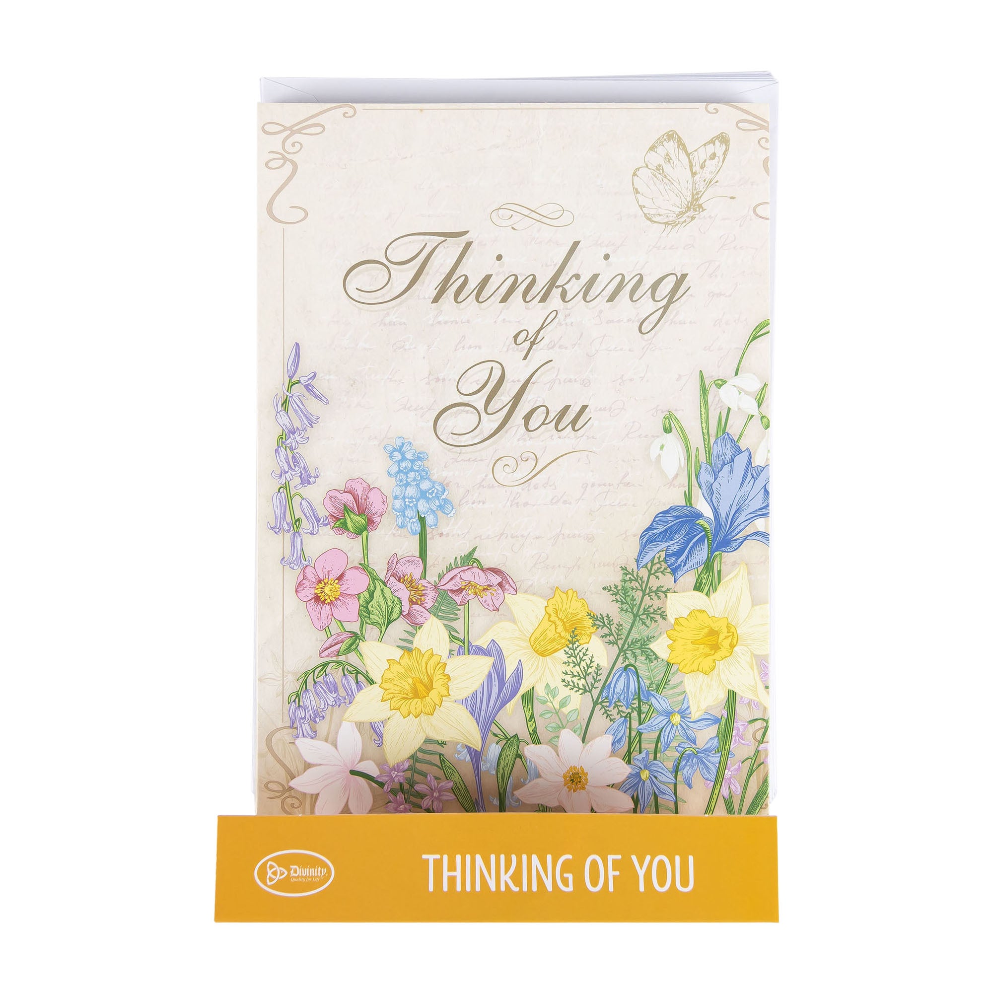 Single Cards - Thinking of You - In Touch Philippians 4:6 (6 pk)