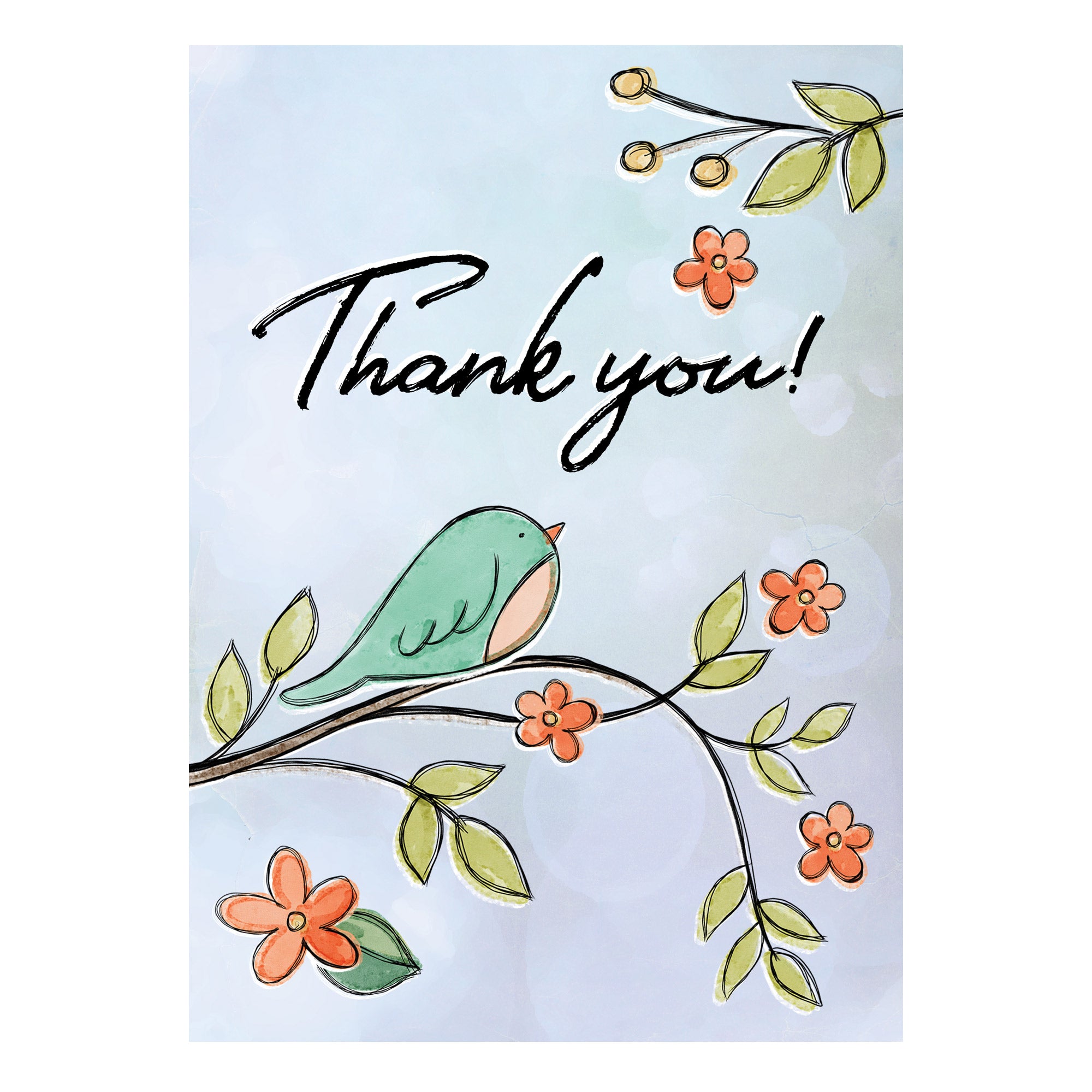 Boxed Cards: Thank you, Bird on Branch