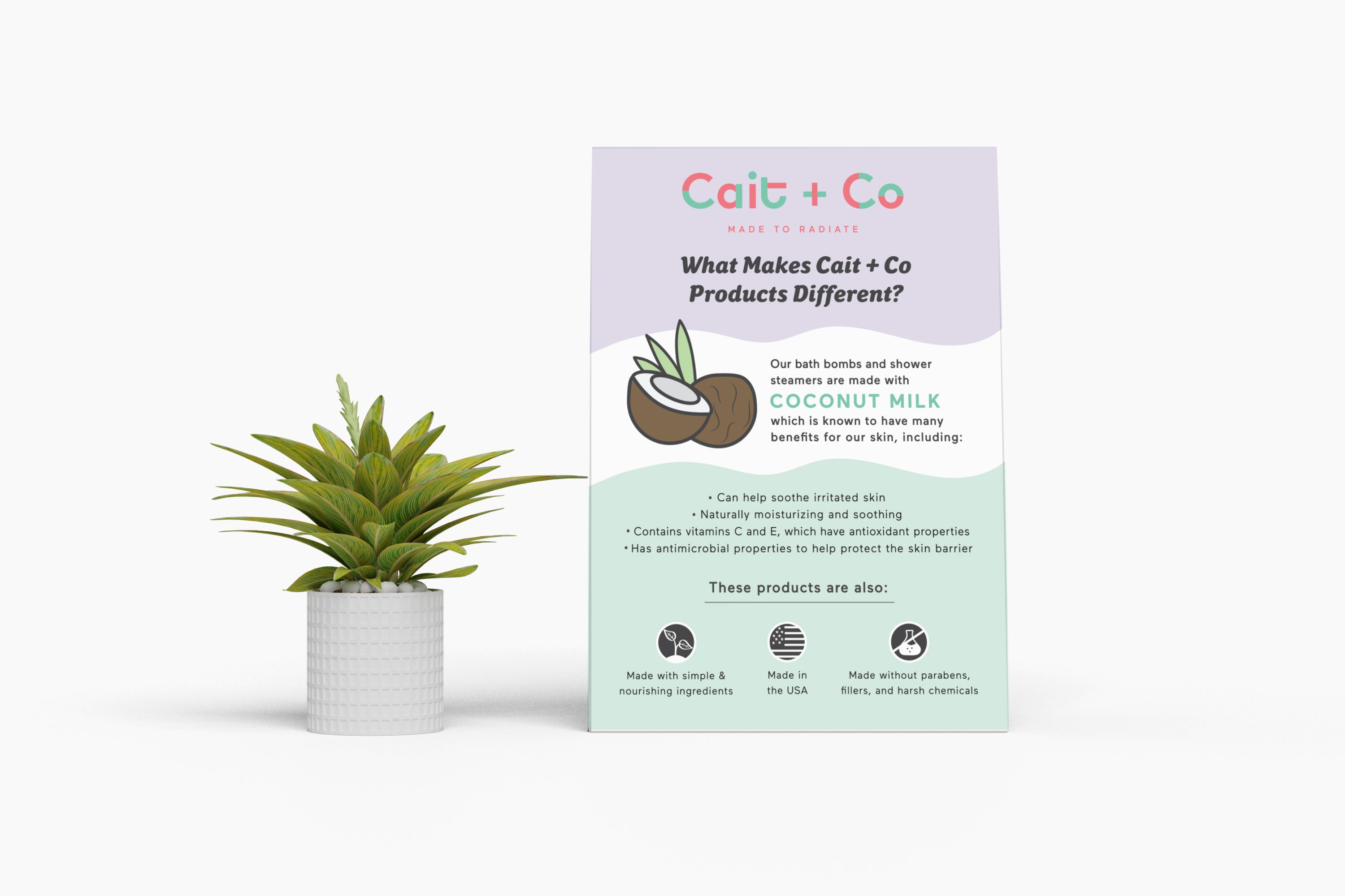 Cait + Co Marketing Pack (3 pcs)